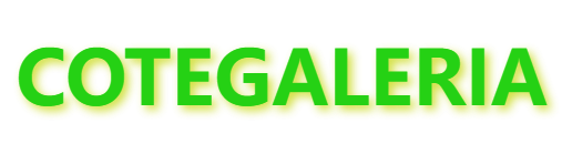 Accessoires animaux tendance avec prix promotionnel