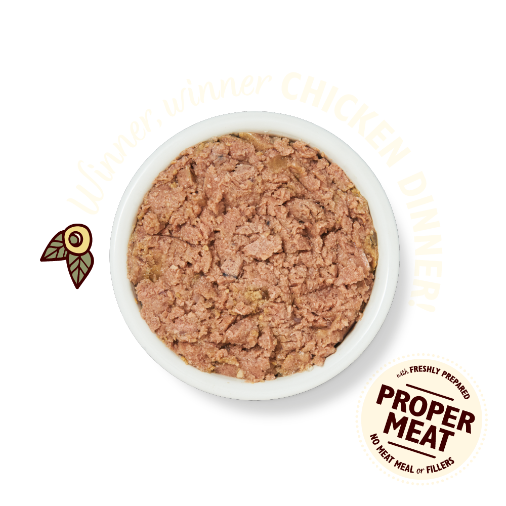 Pâtée pour Chat au Poulet | Lily’s Kitchen | Barquette 85g – Image 3